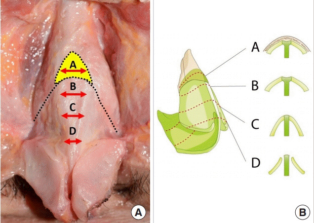 Fig. 10.