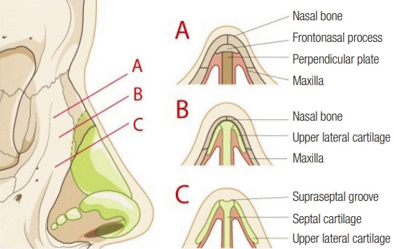 Fig. 13.