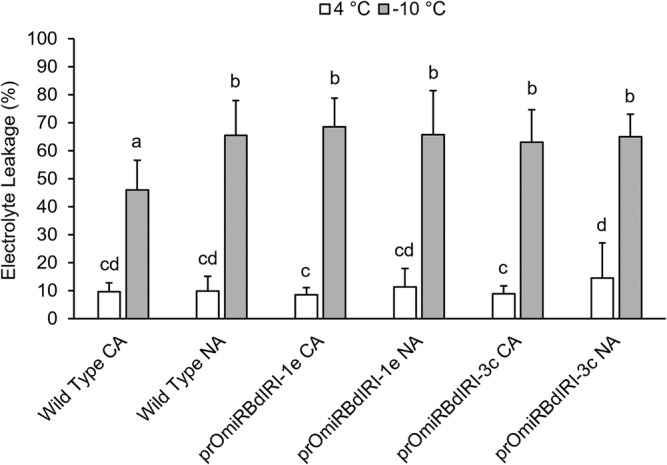 FIGURE 4