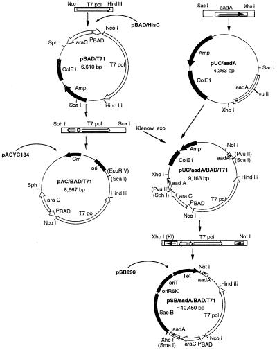 FIG. 1.