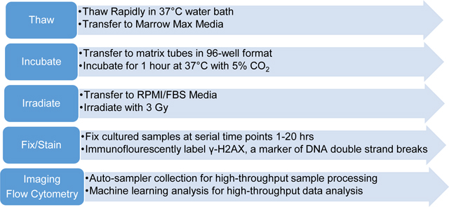 graphic file with name nihms-1933987-f0006.jpg