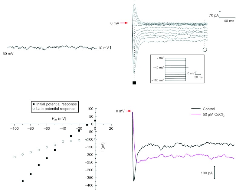 Figure 10