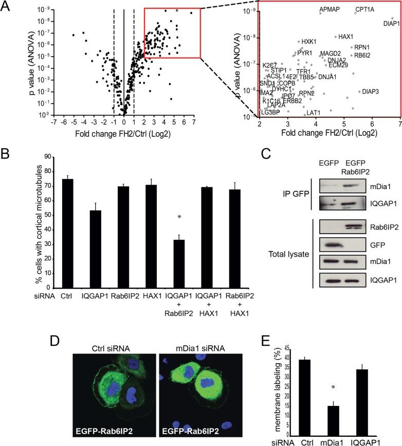 FIGURE 4: