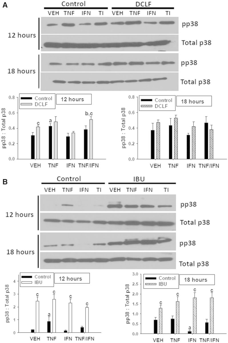 FIG. 8.