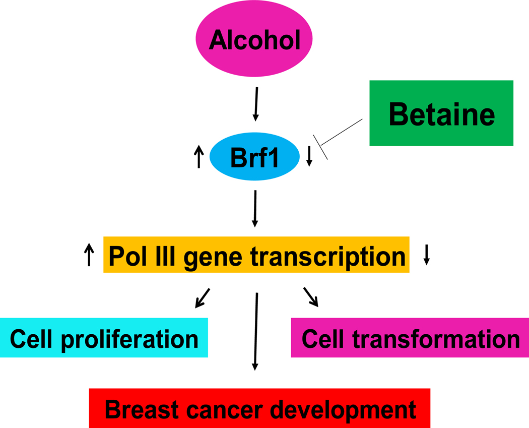 Fig 7.