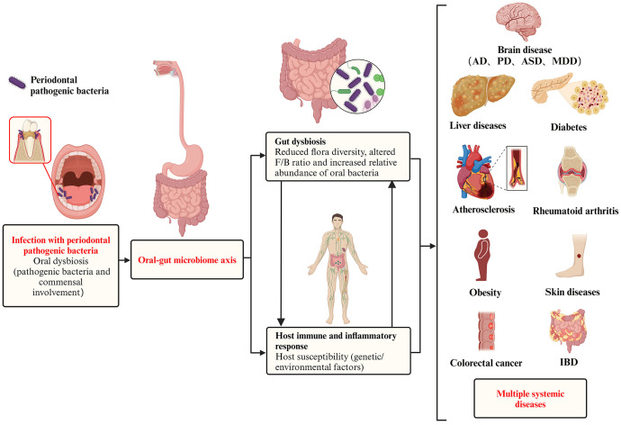 Figure 1