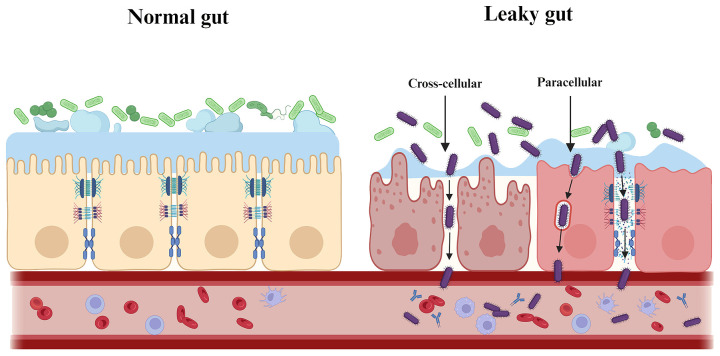 Figure 4