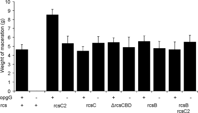 FIG. 2.