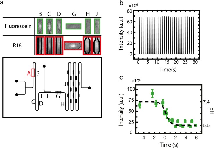 FIG. 2.