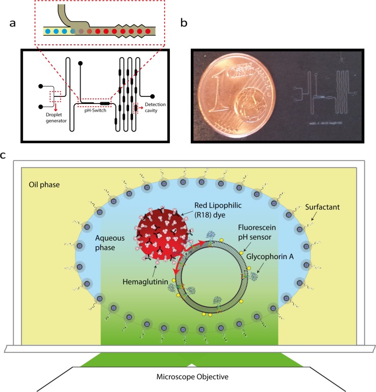 FIG. 1.