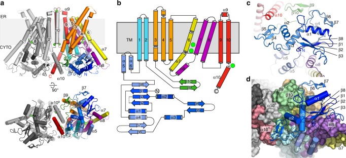 Fig. 3