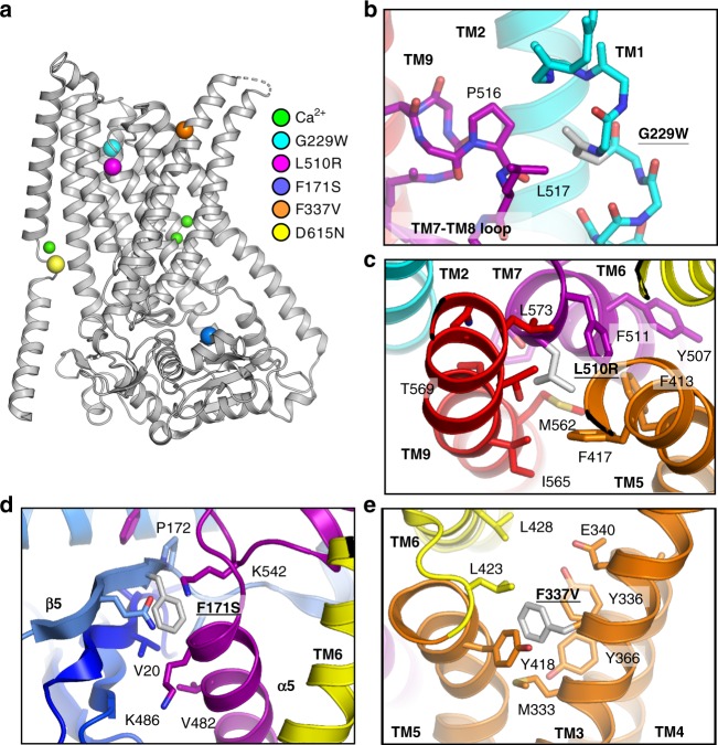 Fig. 9