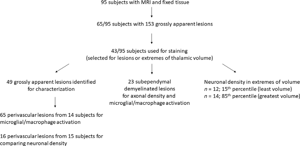 FIGURE 1: