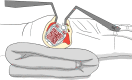 Fig. 9