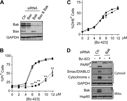 Fig. 3.