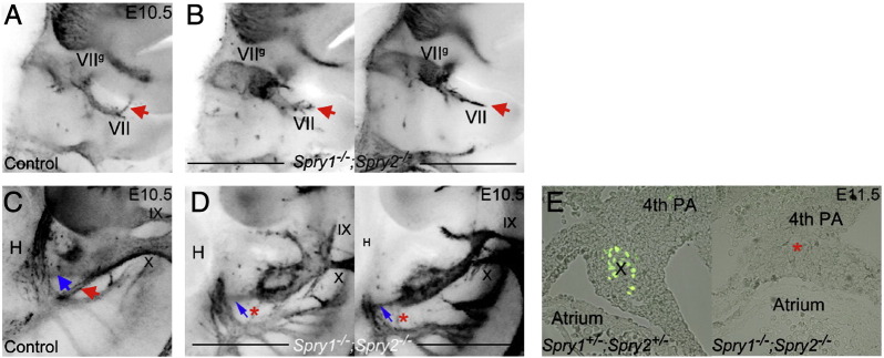 Supplementary Fig. 3