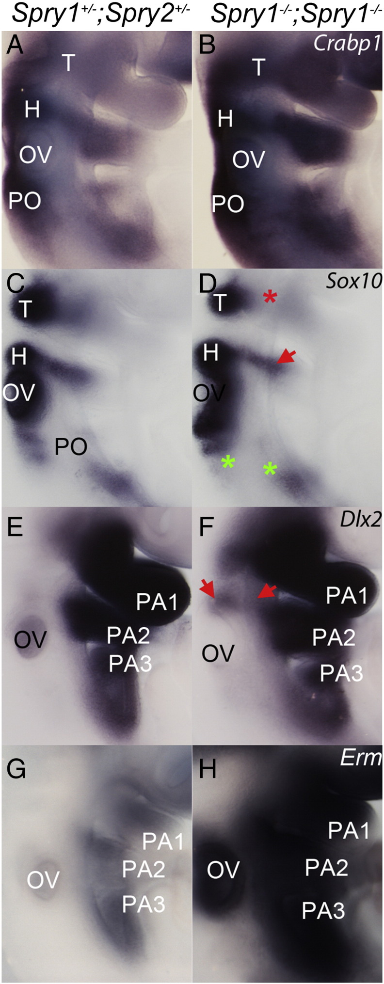 Fig. 4