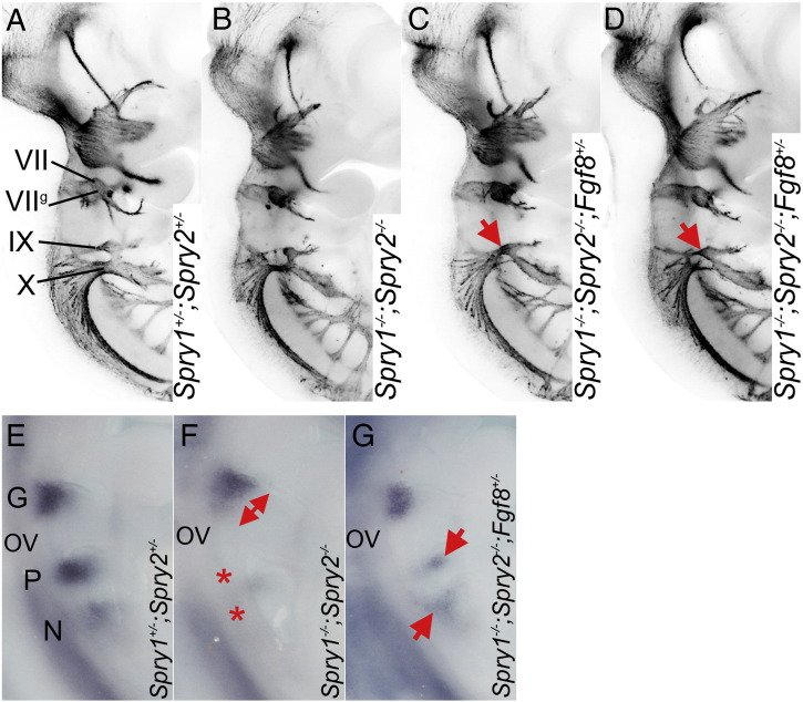 Fig. 6