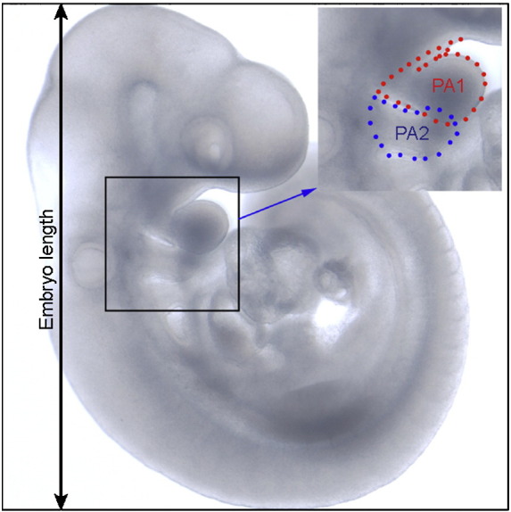 Supplementary Fig. 2