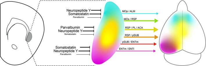 FIGURE 14