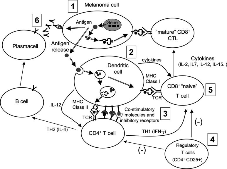 Fig. 4