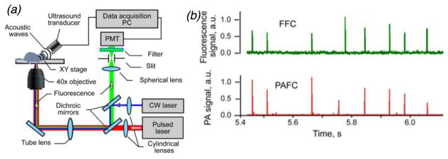 Figure 6