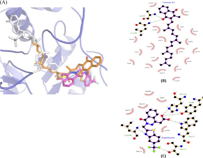 Figure 7