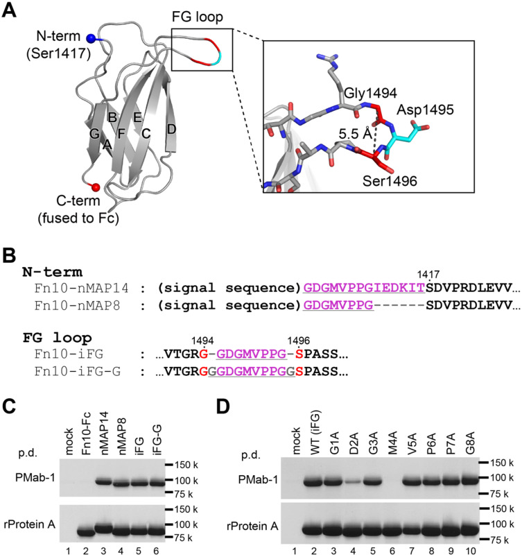 Fig. 2.