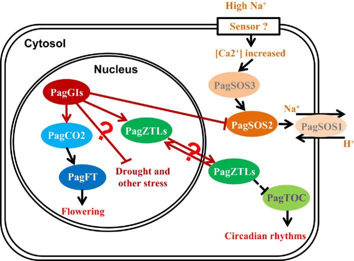 Figure 10