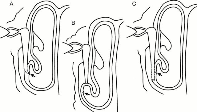 Figure 3  