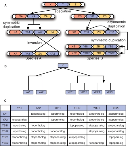 Figure 2: