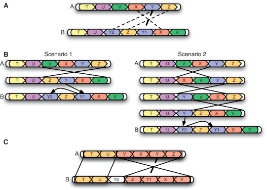 Figure 3: