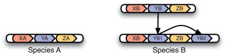 Figure 1: