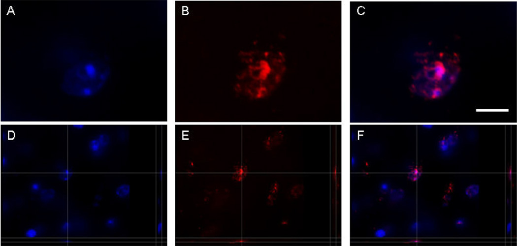 Fig. 2