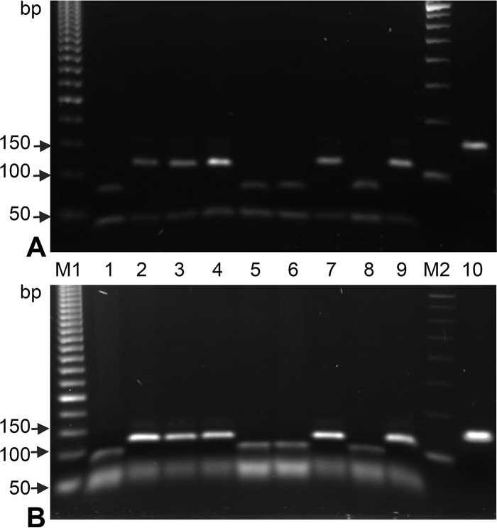 FIG 2