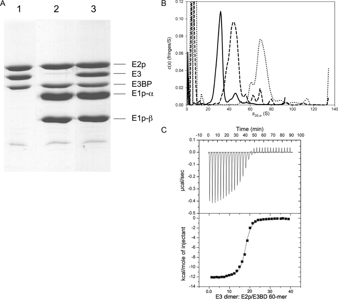 FIGURE 1.