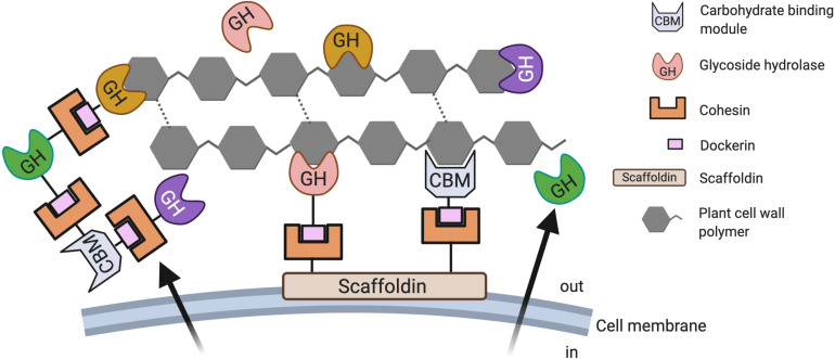 FIGURE 2