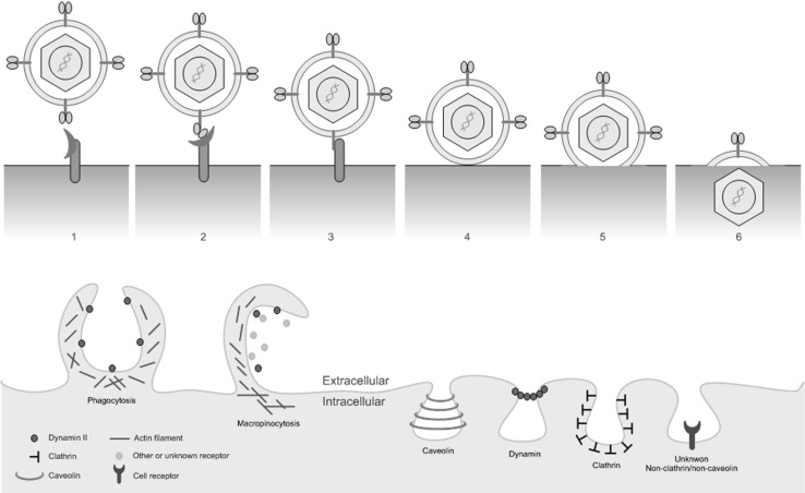 Fig. 2