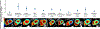 Figure 2 |