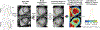 Figure 1 |