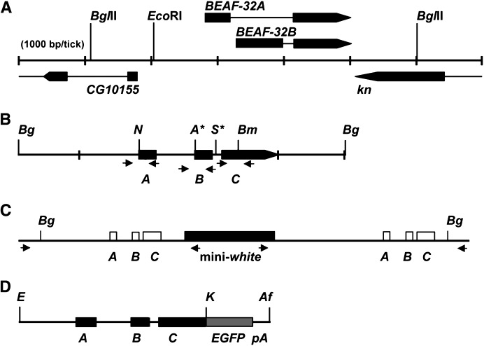 Figure 1.—