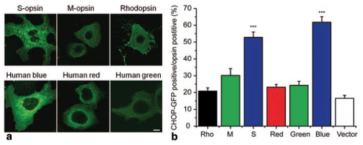 Fig. 99.2