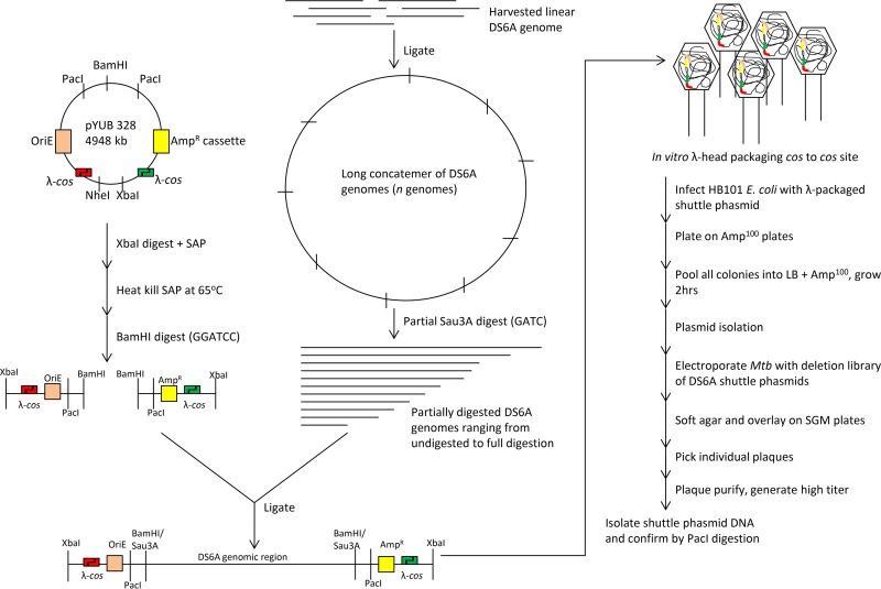 FIG 1