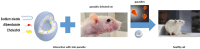 Fig. 12