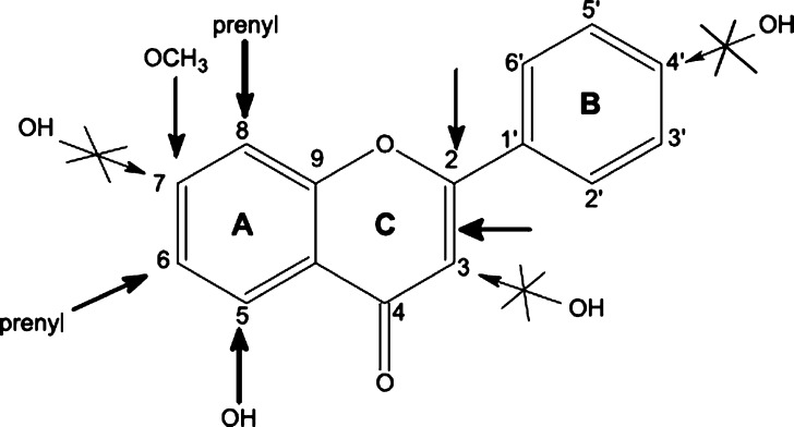 Fig. 4