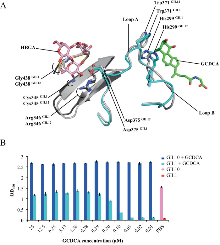 FIG 6