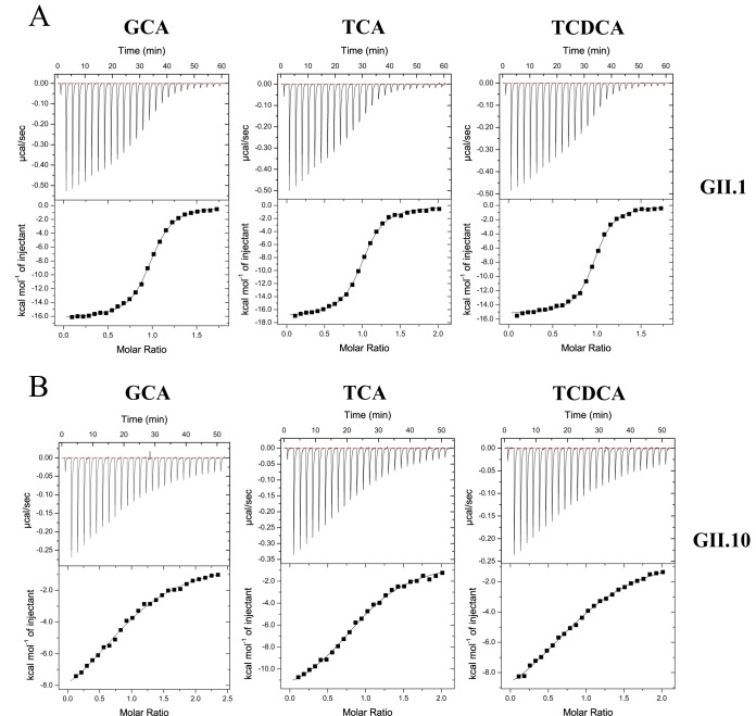 FIG 2