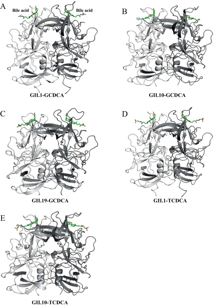 FIG 3