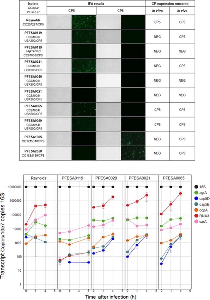 Fig 4