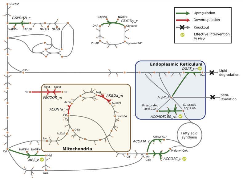 Fig. 3